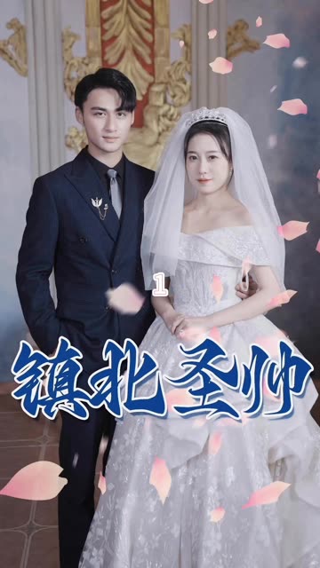 镇北圣帅&镇北神帅封面图