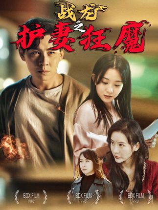 战龙之护妻狂魔封面图