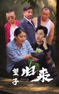 望子归来封面图