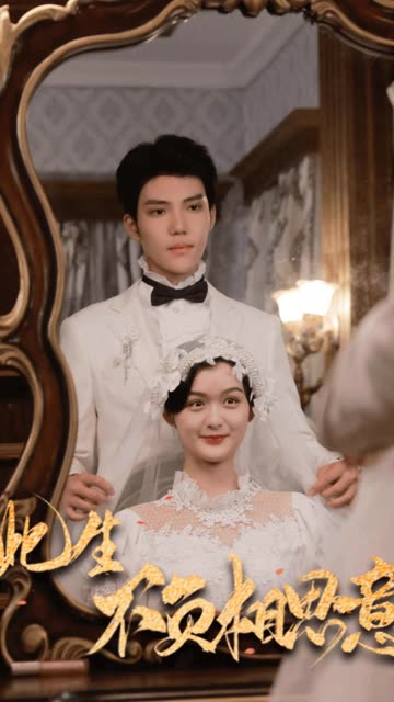 此生不负相思意封面图