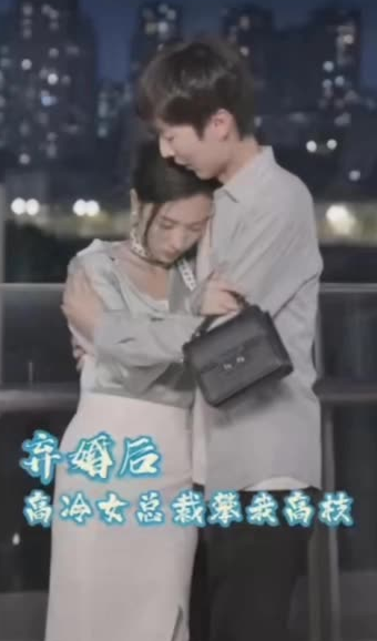 弃婚后，高冷女总裁攀我高枝封面图