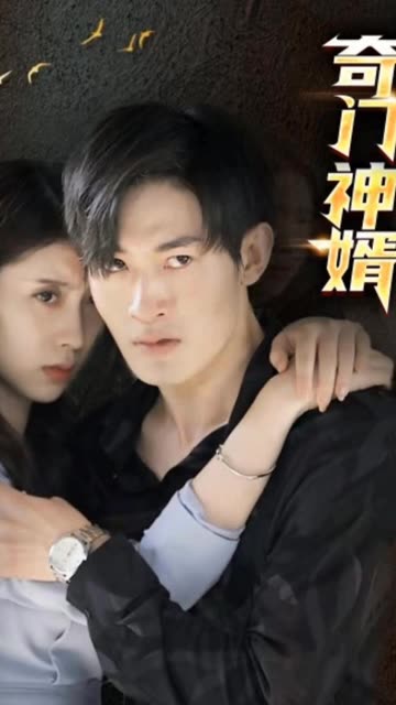 奇门神婿封面图