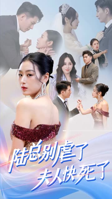 陆总别虐了，夫人快死了封面图