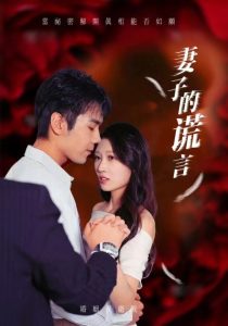 妻子的谎言封面图