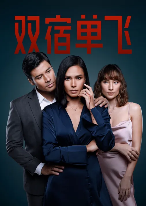 双宿单飞封面图