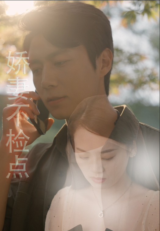 娇妻不检点封面图