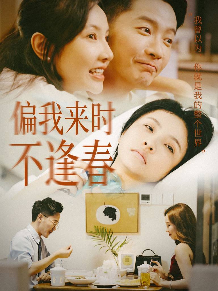 偏我来时不逢封面图