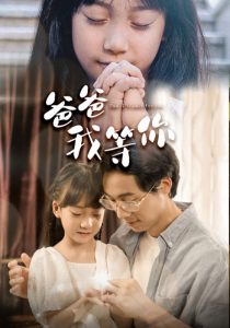 爸爸我等你封面图