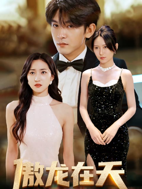 傲龙在天封面图