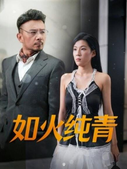 如火纯青封面图