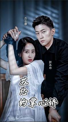 苏总的掌心骄封面图