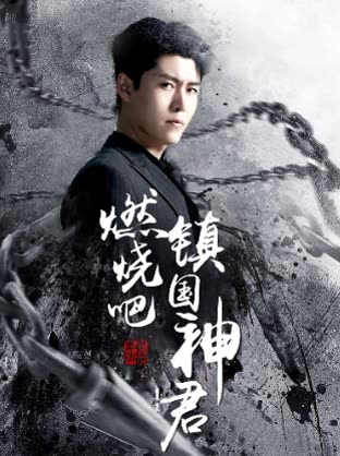 燃烧吧，镇国神君封面图