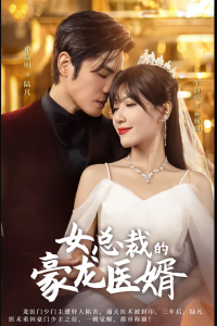 女总裁的豪龙医婿封面图