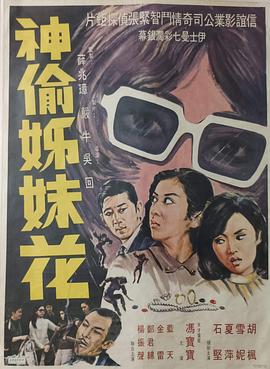 神偷姊妹花粤语封面图