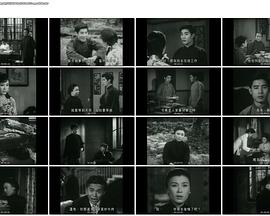 白头情侣粤语封面图