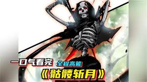 骷髅斩月封面图