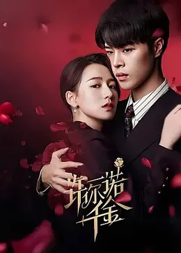 许你一诺千金封面图