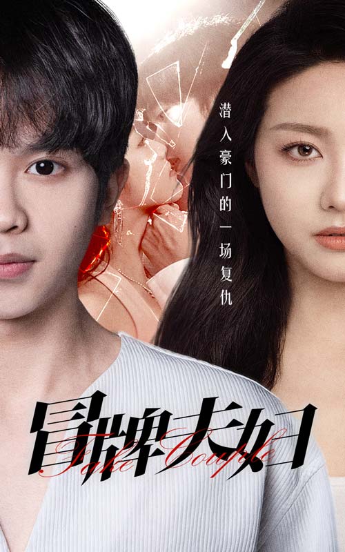 冒牌夫妇封面图