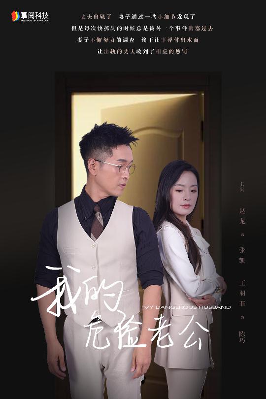 我的危险老公封面图