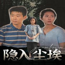 隐入尘埃封面图