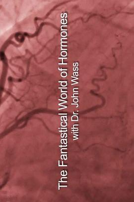 荷尔蒙的神奇世界封面图