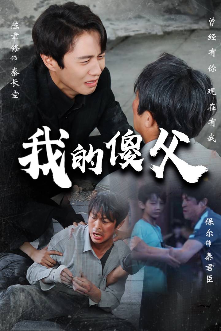 我的傻父封面图