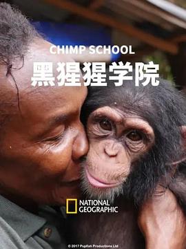 黑猩猩学院封面图
