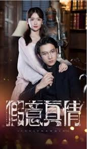 假意真情封面图