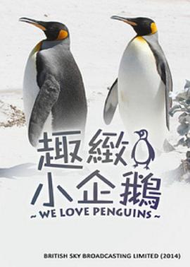 我们爱企鹅封面图