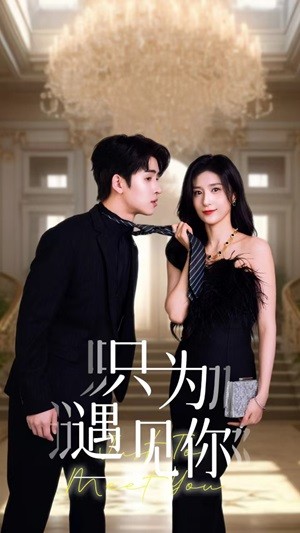 只为遇见短剧封面图
