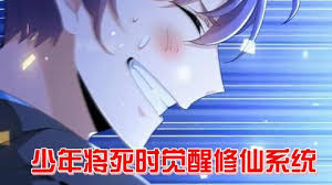 快死时觉醒修仙系统走向人生巅峰封面图