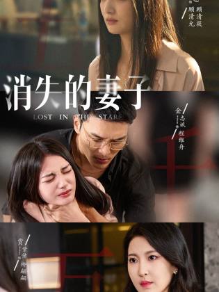 新版：消失的妻子封面图