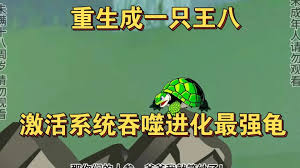 一只龟的进化史封面图