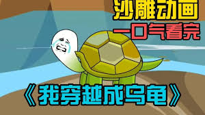 穿越我变成了乌龟封面图