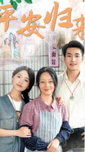 平安归来封面图