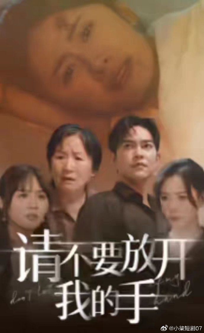 请不要放开我的手封面图