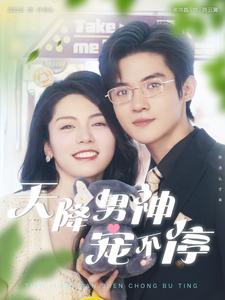 天降男神宠不停封面图