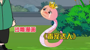 毒宠达人封面图