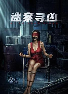 迷案寻凶封面图