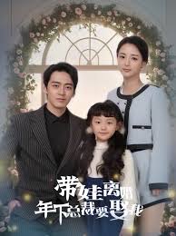 带娃离婚，年下总裁要娶我封面图