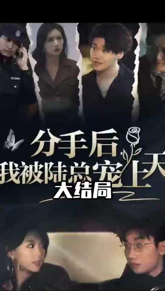 分手后，我被陆总宠上天封面图