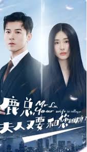 鹿总夫人又要和您摊牌了封面图