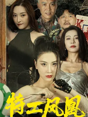 特工凤凰封面图