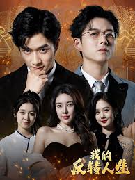 我的反转人生封面图