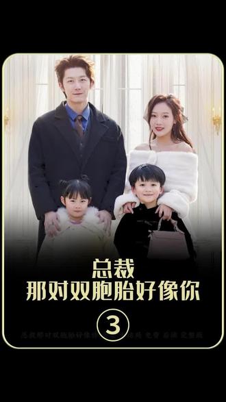 总裁，那对双胞胎好像你封面图