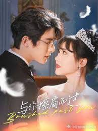 与你擦肩而过封面图