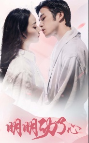 明明动了心封面图