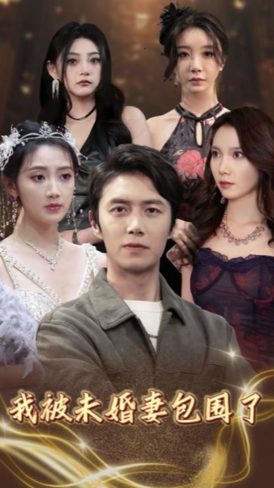 我被未婚妻包围了封面图