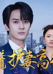 隐龙之护妻高手封面图