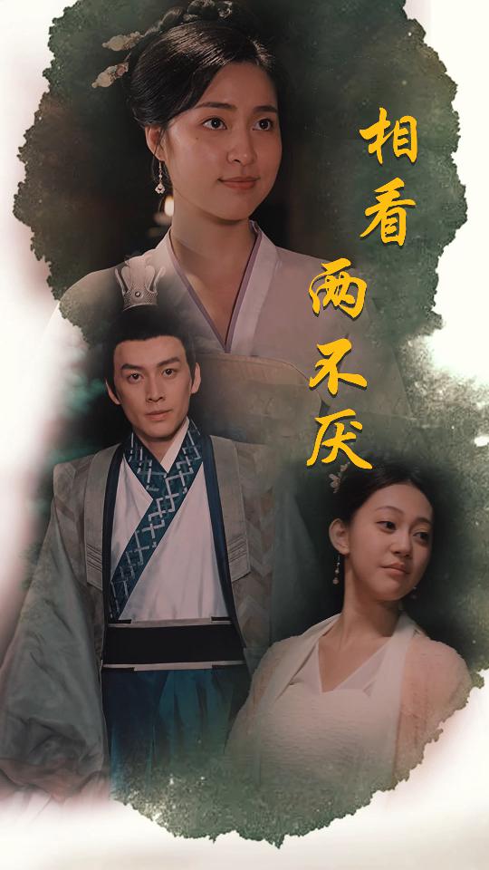 相看两不厌&这个王妃不好惹封面图